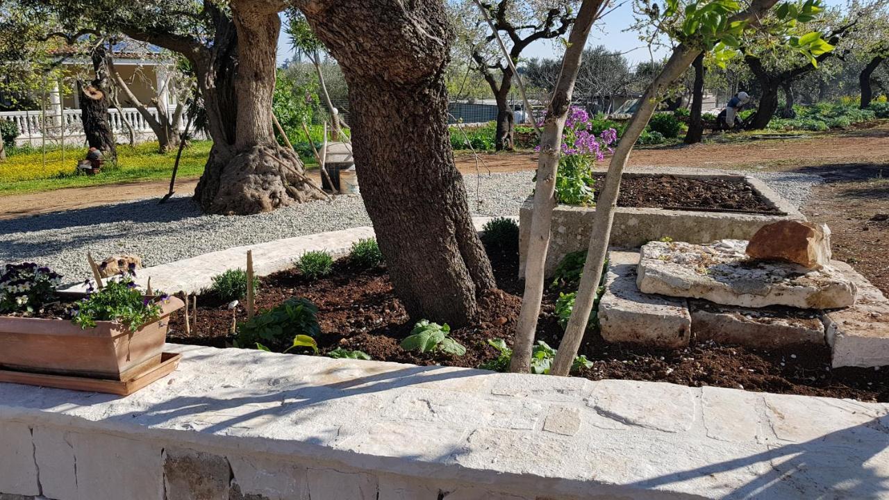 カステッラーナ・グロッテ Il Trullo Di Nonna Lellaゲストハウス エクステリア 写真