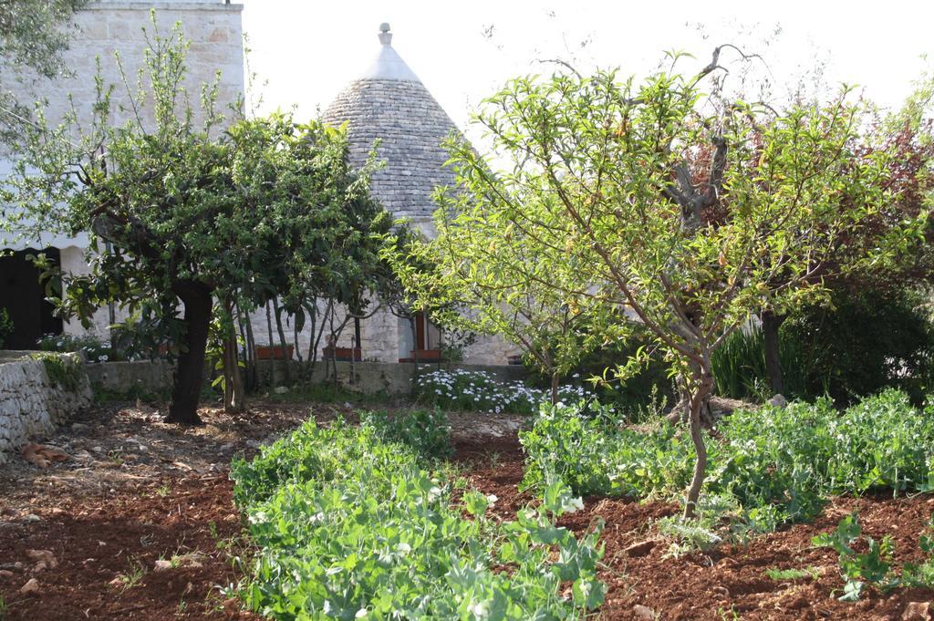 カステッラーナ・グロッテ Il Trullo Di Nonna Lellaゲストハウス エクステリア 写真